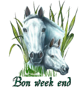 Gif animé bon week-end cheval